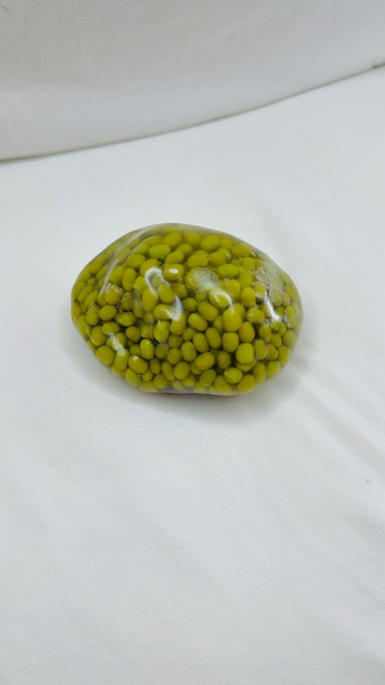 Mung Bean